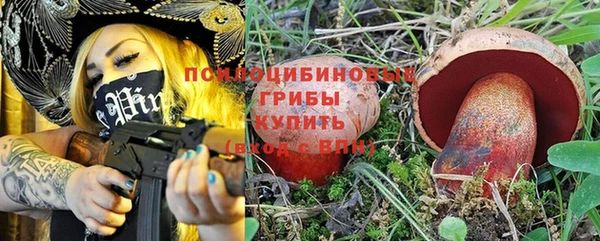 прущий лед Абаза