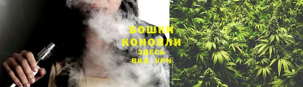 ГАЛЛЮЦИНОГЕННЫЕ ГРИБЫ Протвино